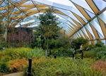 大伦敦屋顶花园Crossrail Place Roof Garden